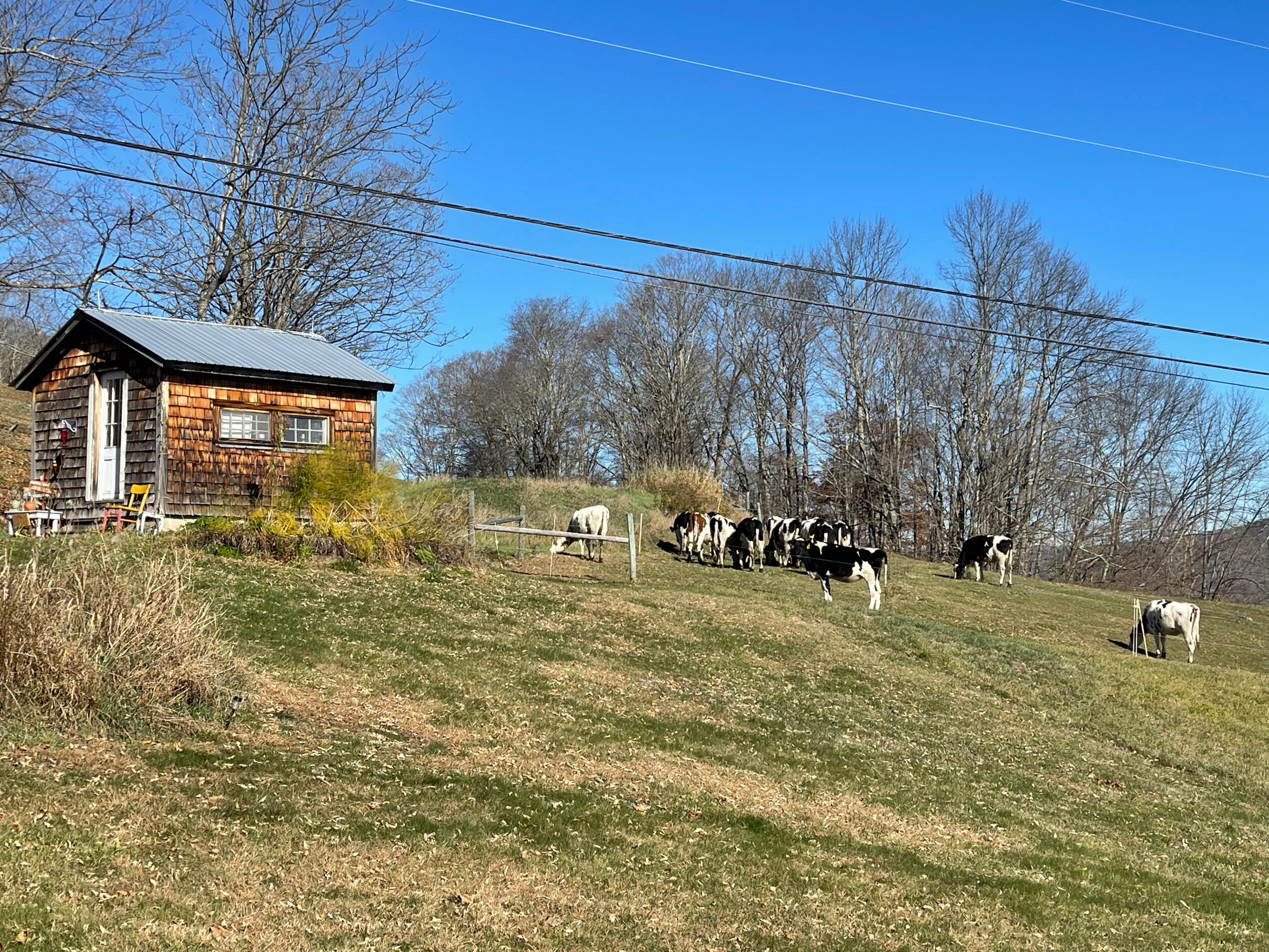 When your office used to be a chicken coop... When your office used to be a chicken coop...